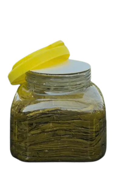 Erbaa salamura asma ve bağ yaprağı 1000gr net 1900gr brüt