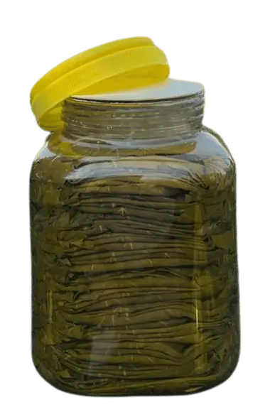 Erbaa salamura asma ve bağ yaprağı 2000gr net 3000gr brüt