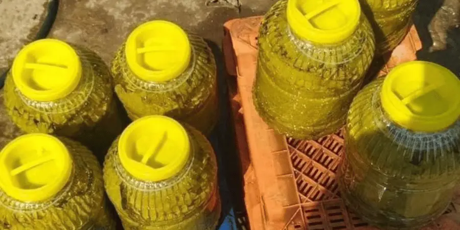 Evde Salamura Üzüm Yaprağı Sürecinin Bilimsel Temelleri